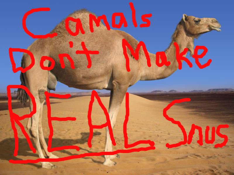 RJR Camel SNUS is not REAL Swedish Snus