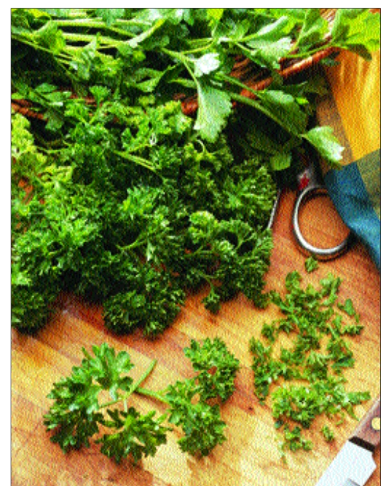 Parsley, one of the flavor components of Tre Ankare! Endive or Watercress is another.