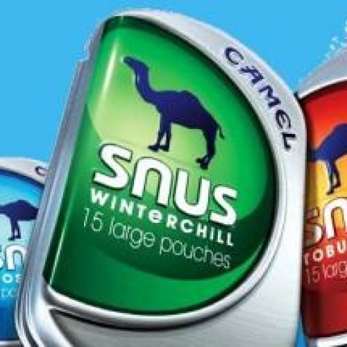 Camel Robust and Winterchill SNUS – Is it Real Snus yet?