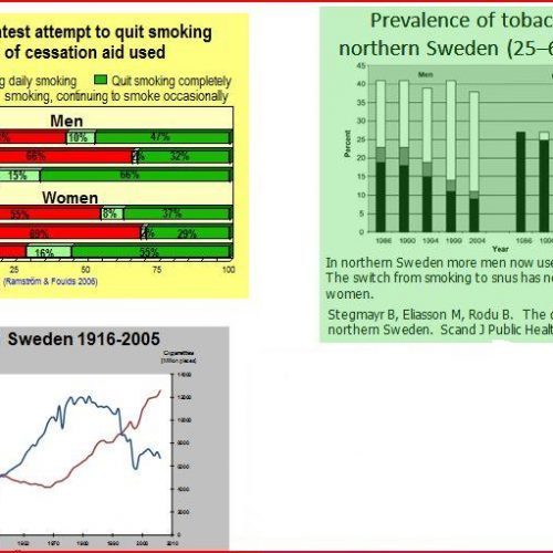 Beware ‘The Green Seal’ of Quality